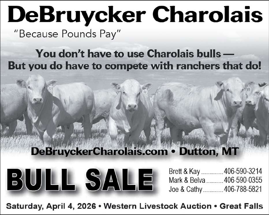 DeBruycker Charolais - BULL SALE